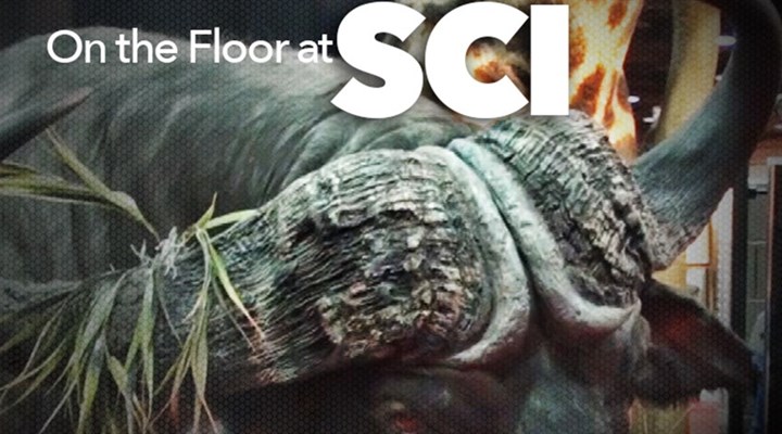 NRA Hunters' Leadership Forum | American Hunters Present United Front at SCI Convention