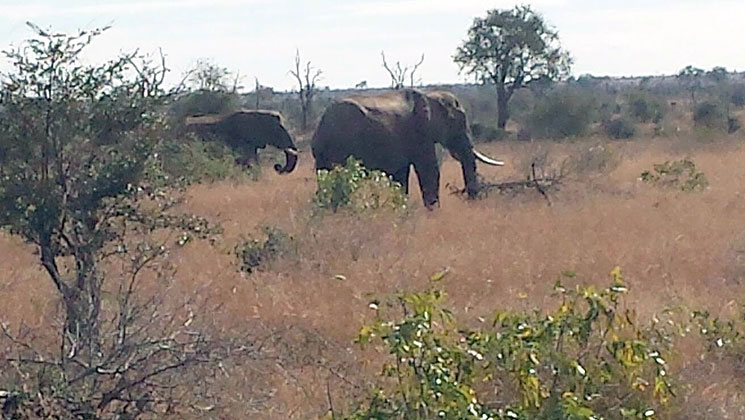 NRA Hunters' Leadership Forum | African NGO Stands with NRA to Fight Animal Rights Extremism