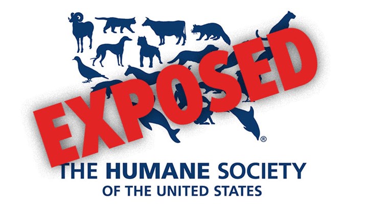 Love Animals? Then Don't Donate to HSUS!