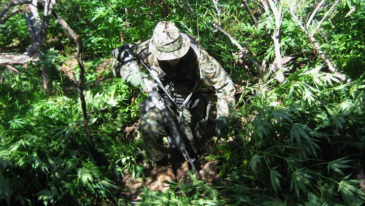 Hunters Continue to Stumble onto Drug Cartel's Illegal Marijuana Grows 