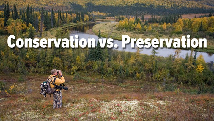 Conservation vs. Preservation: What's the Difference?