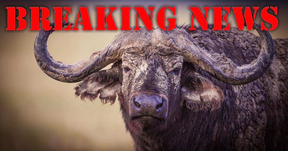 NRA Hunters Leadership Forum American Hunters Have 21 Days To nra-hunters-leadership-forum-american-hunters-have-21-days-to