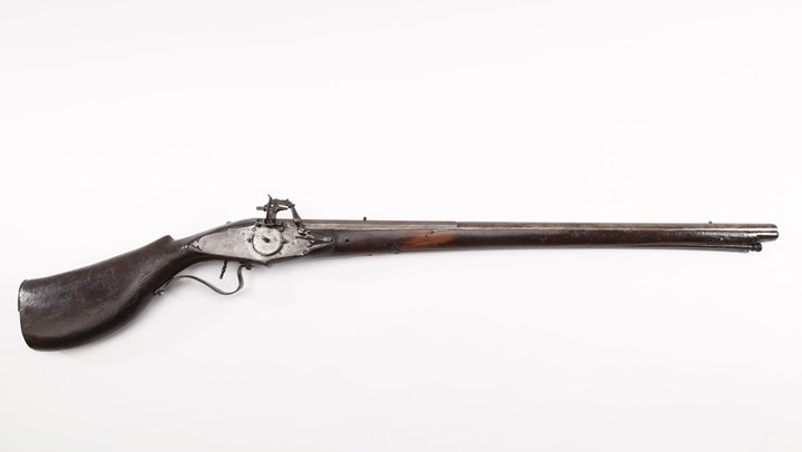 Thanksgiving gun sale