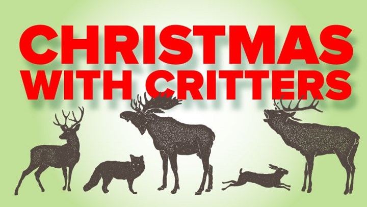 Christmas with the Critters 