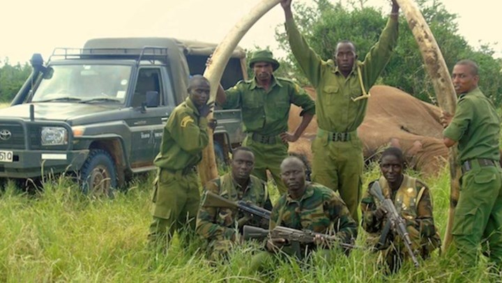 Iconic Giant Tusker Poached in Kenya