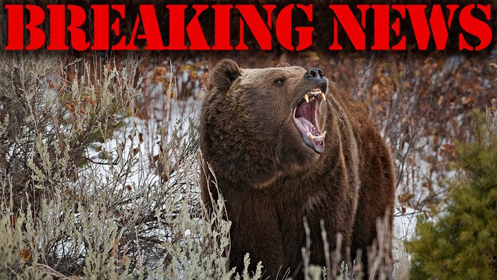 HSUS-Backed Antis Aim to End B.C. Grizzly Hunts on May 9