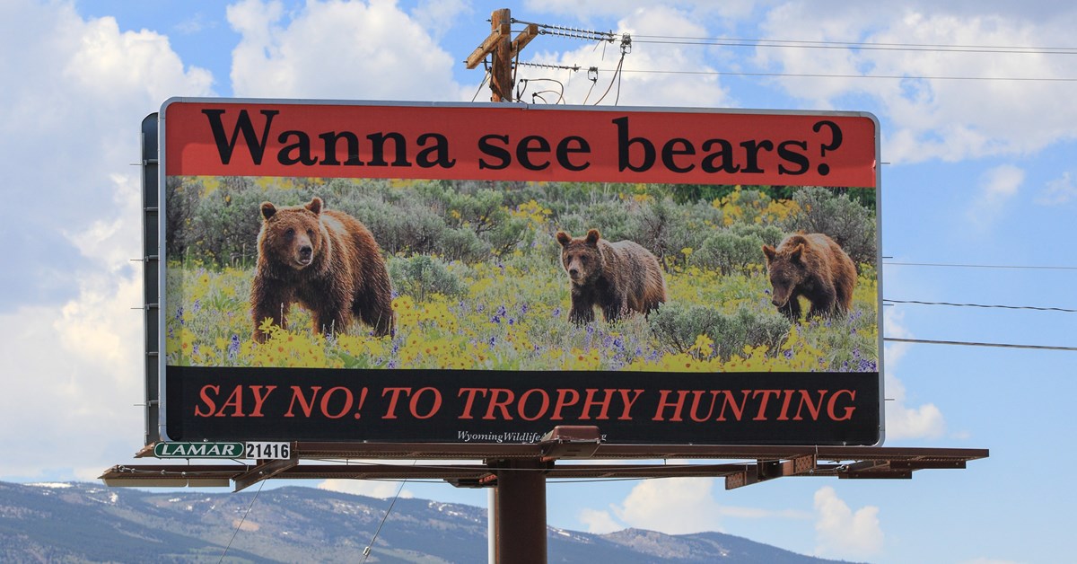 NRA Hunters' Leadership Forum AntiBearHunting Billboard Targets