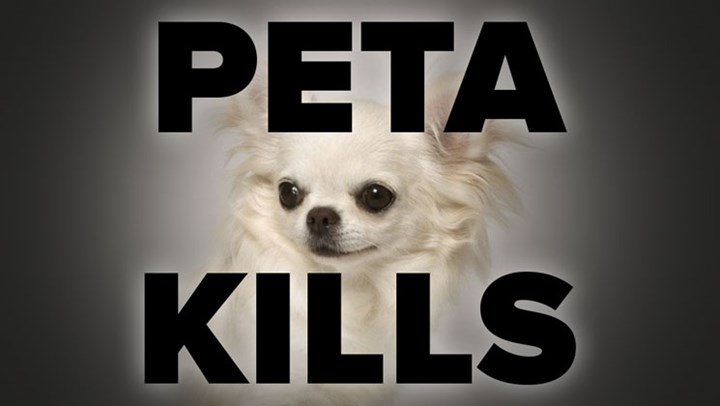 PETA Settles for $49,000 after Killing Girls’ Dog