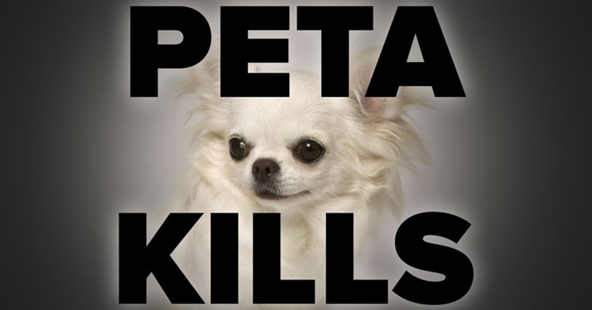 NRA Hunters' Leadership Forum | PETA Settles for $49,000 after Killing
