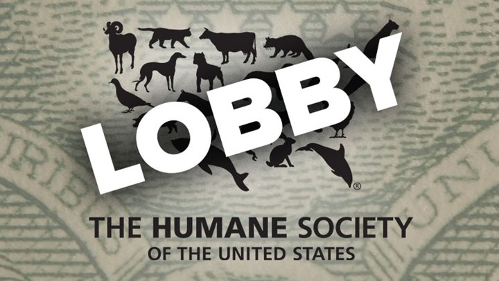 HSUS Ruled a “Lobbying” Organization