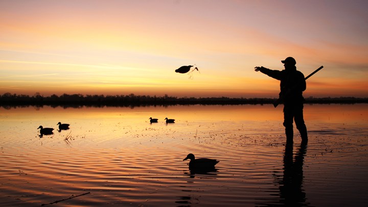 Zinke’s $21 Million in DOI Grants Aid Wetlands Conservation