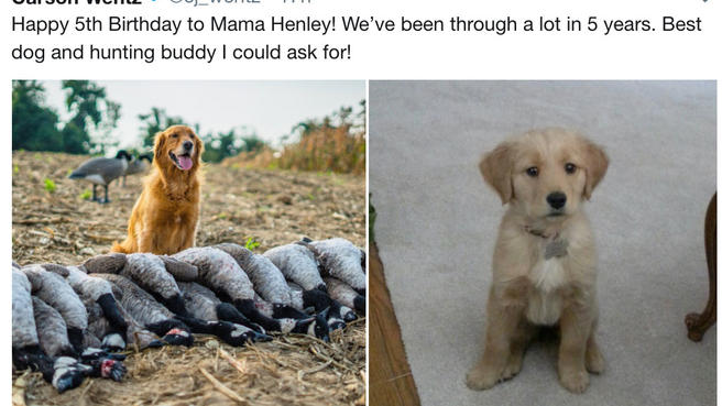 NRA Hunters' Leadership Forum | NFL QB Carson Wentz Celebrates Hunting on Twitter