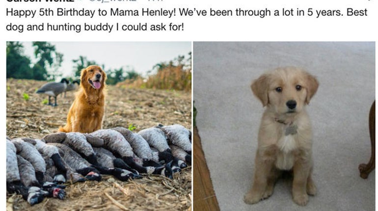 NRA Hunters' Leadership Forum | NFL QB Carson Wentz Celebrates Hunting on Twitter