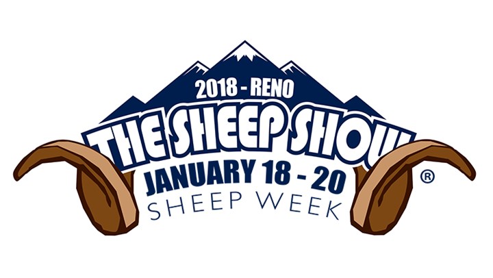 Synergy for Sheep: Why Attend the 2018 Sheep Show 