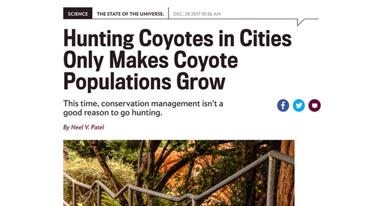 Slate Magazine’s Position on Coyote Hunting is Laughable