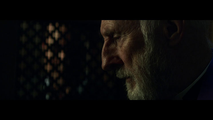 Lying PETA Generated Fake News over Fake Super Bowl Ad