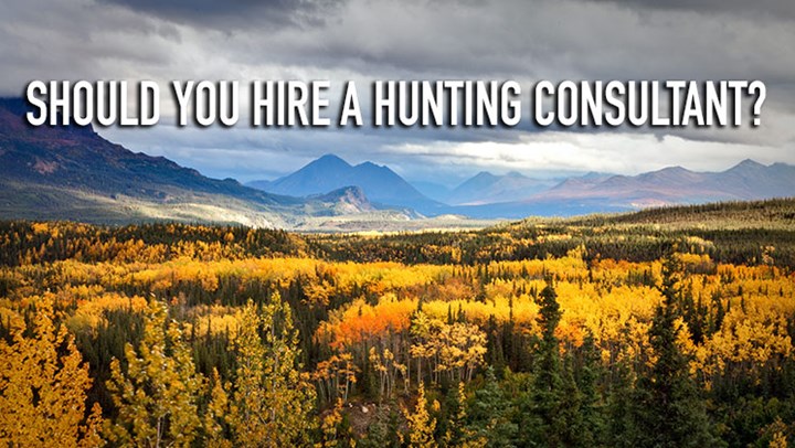 Should You Hire a Hunting Consultant?