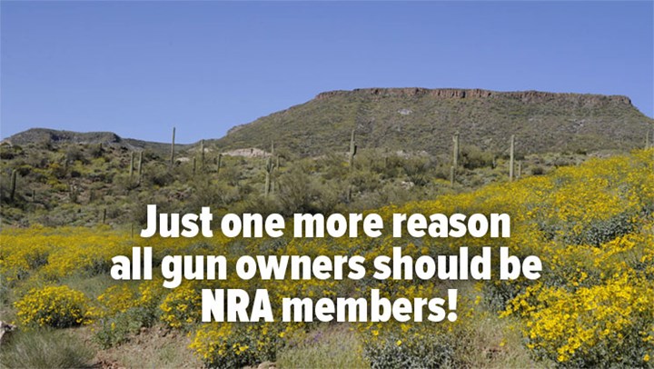 NRA Helps to Stop BLM from Closing Monument to Target Shooting