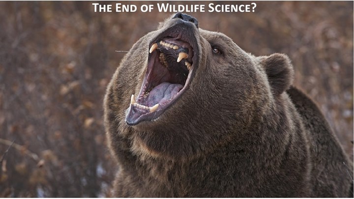 Federal Judge Ignores USFWS, Returns Grizzlies to ESA Protections
