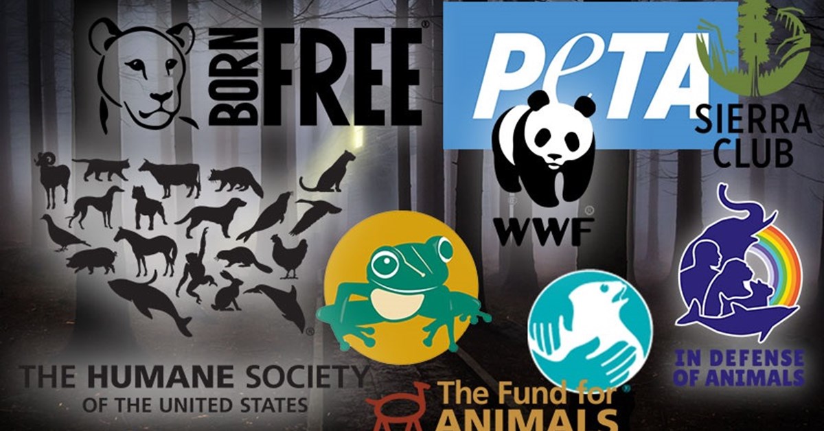 NRA Hunters’ Leadership Forum | 15 Scary Anti-Hunting Organizations to Watch