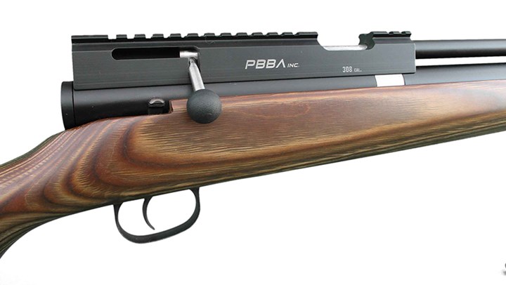 Airguns Continue to Make Strides in Hunting Circles