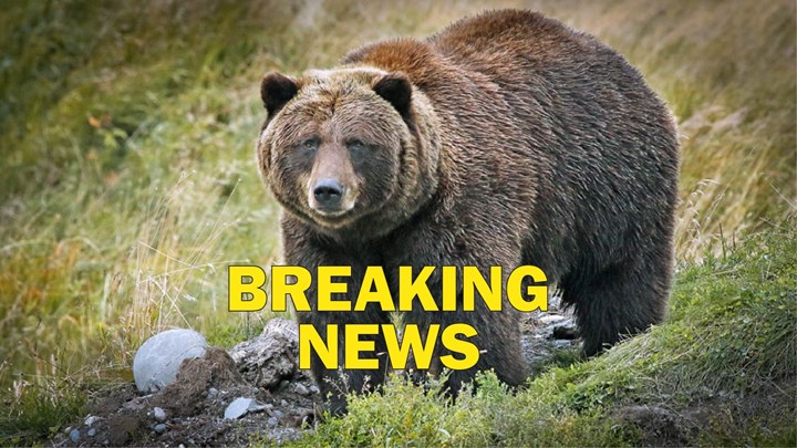 A Grizzly Double Homicide in the Yukon