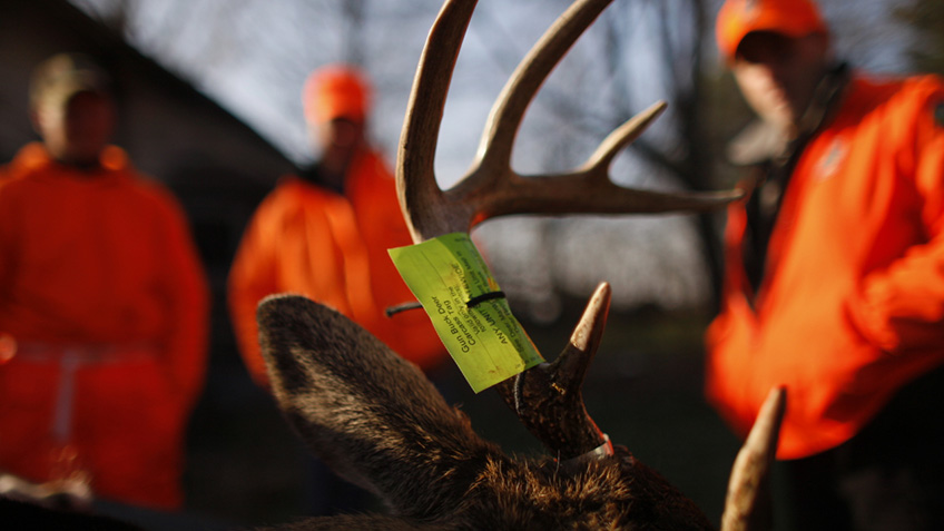 NRA Hunters' Leadership Forum | Raising Poachers’ Fines Makes These Criminals Think Twice