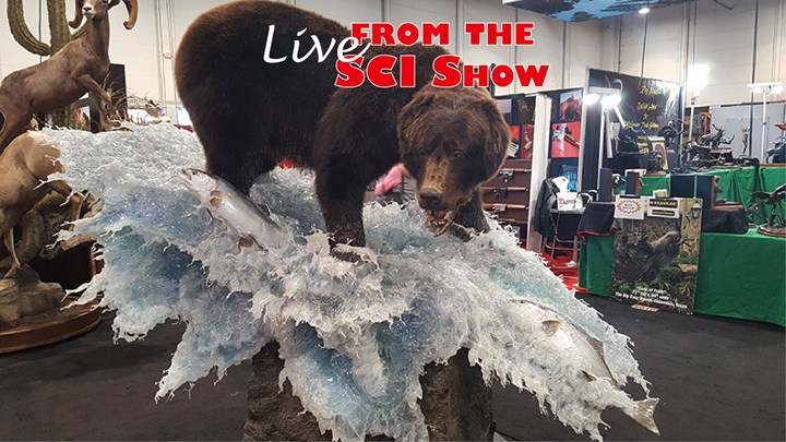 More Than 1,000 Things to Do at the 2019 SCI Show, Jan. 9-12