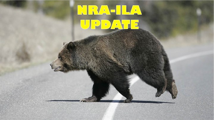 USFWS, NRA and SCI Appeal Closure of Grizzly Bear Hunt