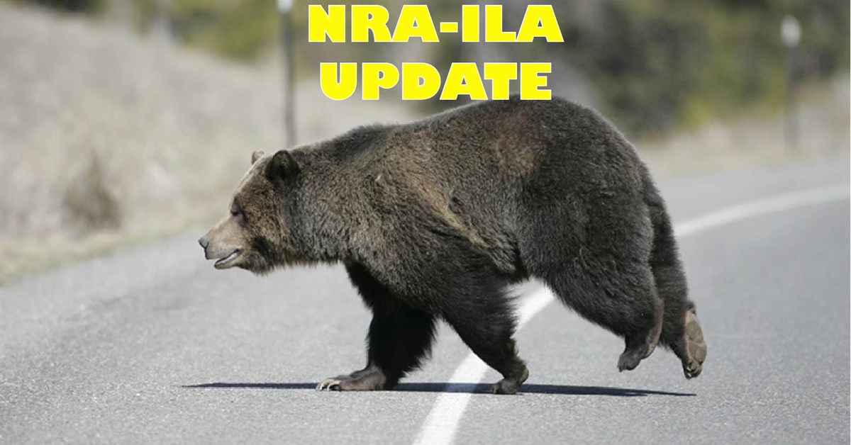 www.nrahlf.org