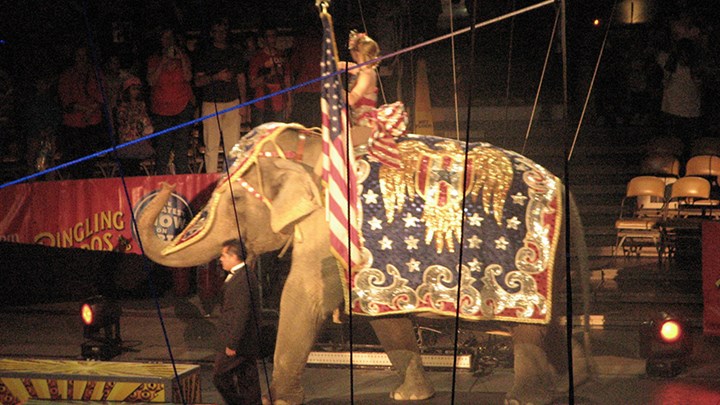 The Real Reason Behind the Jersey Circus Ban