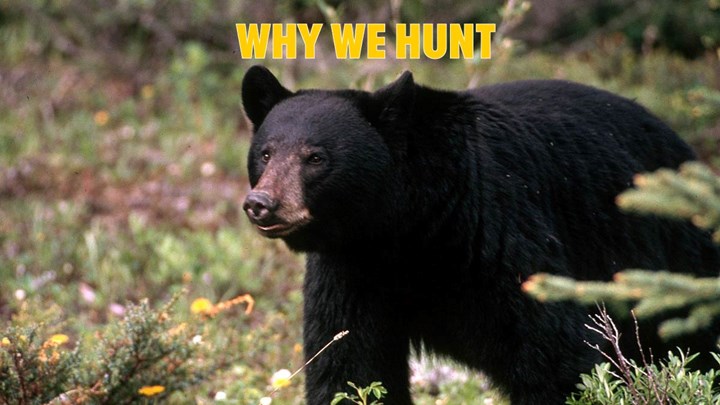 The Hardest Thing of All to Explain About Hunting