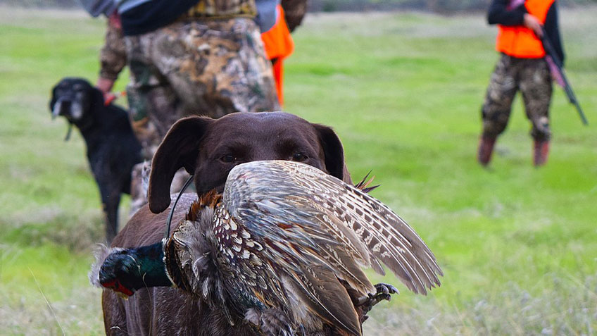 NRA Hunters' Leadership Forum | Partnerships Propel the R3 Movement Forward