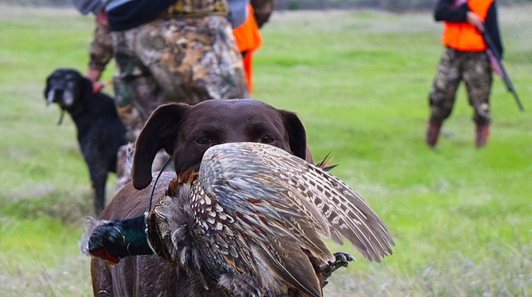NRA Hunters' Leadership Forum | Partnerships Propel the R3 Movement Forward