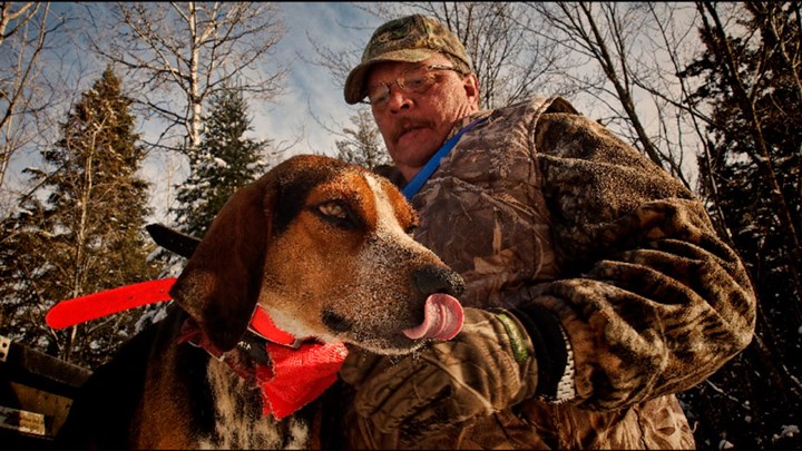 Understanding Hounds, Hunters and the HSUS