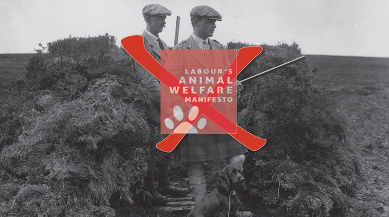 NRA Hunters' Leadership Forum | Open Assault on Great Britain's Hunting Culture