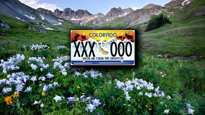 Colorado License Plate Funds Hunting and Fishing Opportunities