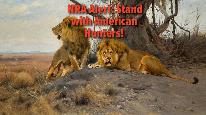 NRA Pushes for a “NO” Vote on CECIL Act Today