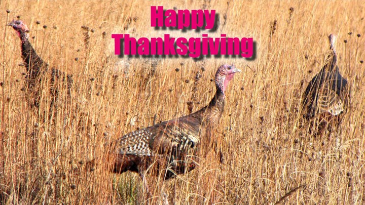 Happy Thanksgiving from NRA Hunters' Leadership Forum