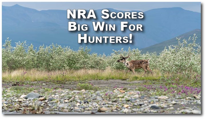 NRA-Defended Lawsuit Preserves Predator Hunting in Alaska