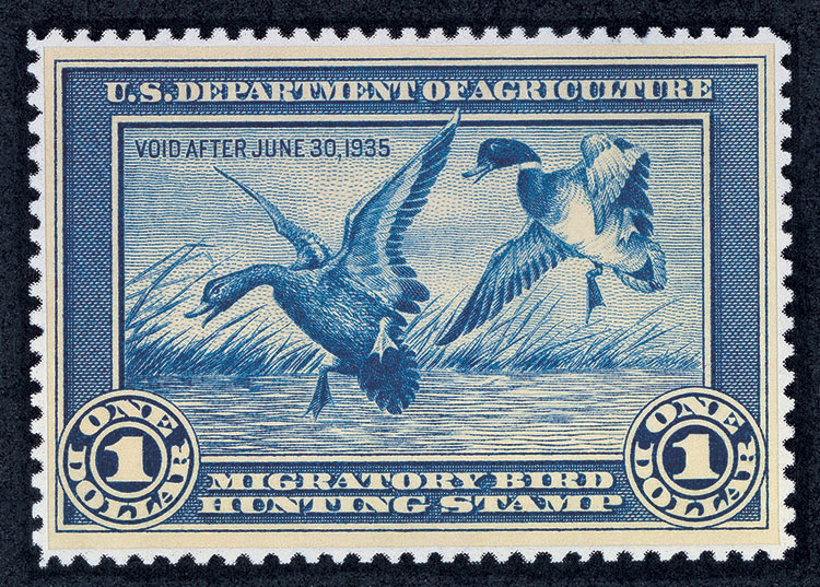 The Federal Duck Stamp is only one way hunters contribute the conservation and habitat restoration of waterfowl.