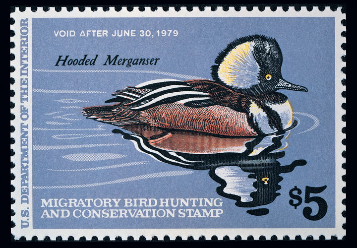 The Federal Duck Stamp has become a collector's item over the its 80-year span. Even non-hunters get in on the waterfowl conservation and wildlife restoration efforts by buying the Duck Stamps. 