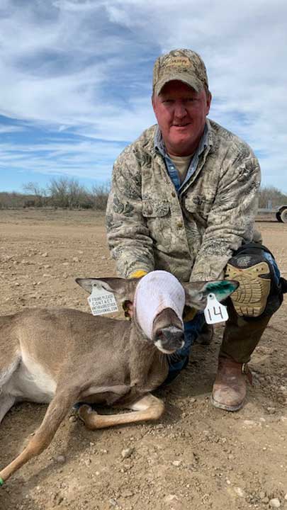 Macy Ledbetter assisted in a plan to trap and translocate deer into an area that lost its herd due to a severe anthrax breakout.