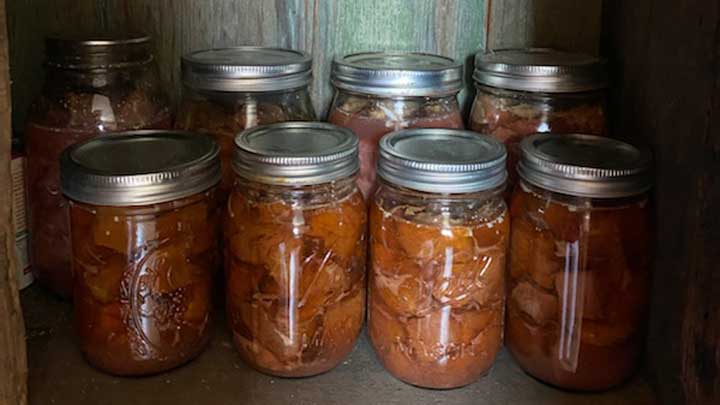 NRA Hunters' Leadership Forum | Hunting During Coronavirus Crisis Brings Us Back to Basics