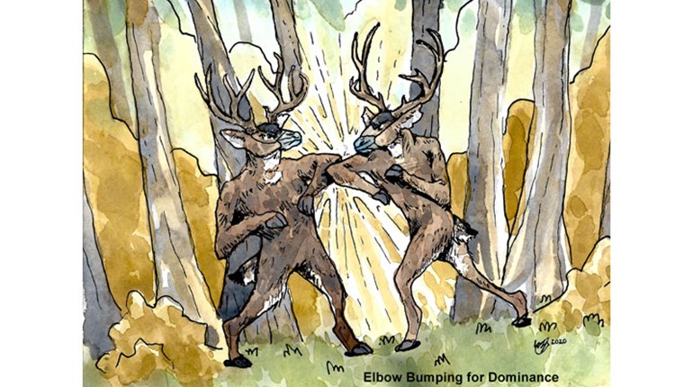 NRA Hunters' Leadership Forum | What COVID-19 Teaches Us About CWD