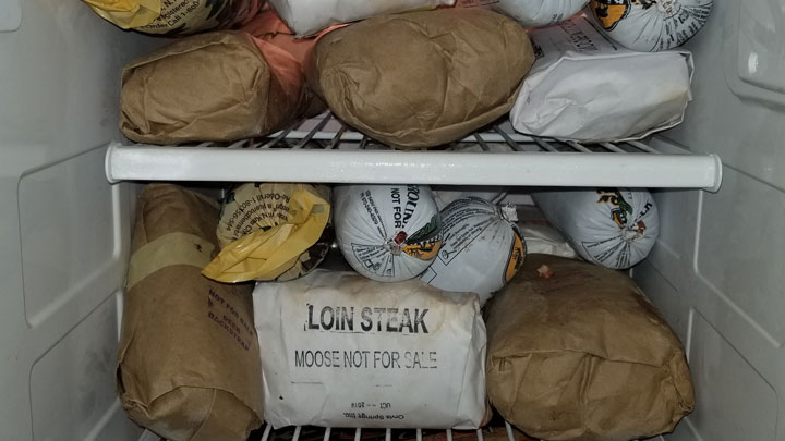 Game meat in freezer