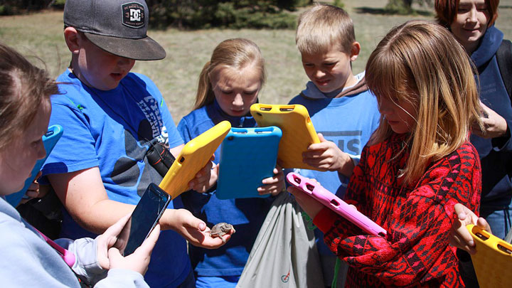 Children gather in the outdoors with electronic tables in hand to learn about a toad they have found.