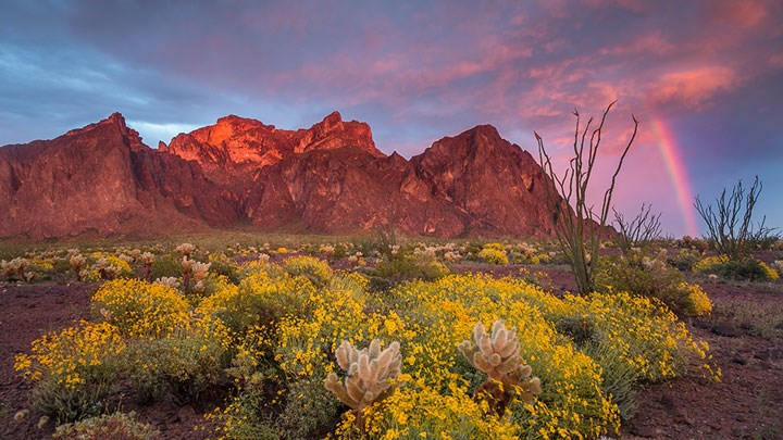 Interior Secretary Announces Historic Expansion of Hunting and Fishing Opportunities on Public Lands 