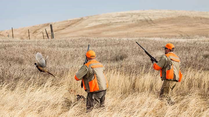 A Pandemic-Inspired Surge in Hunting Participation? Media Reports Indicate It! 