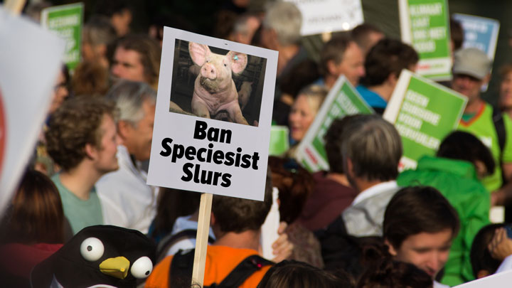 NRA Hunters' Leadership Forum | PETA Trying to Ban “Speciesist” Definitions in the Dictionary